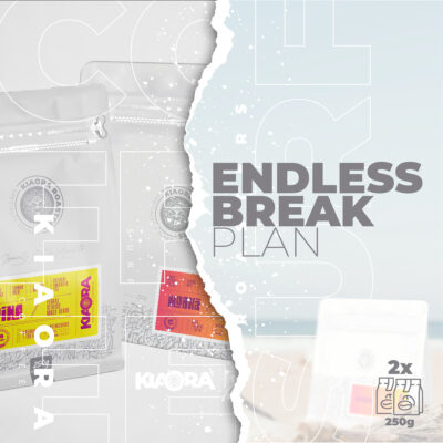 ENDLESS BREAK