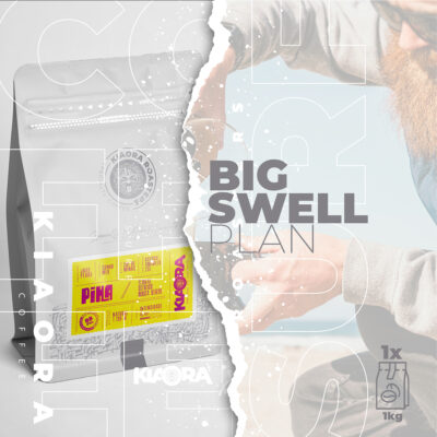 BIG SWELL